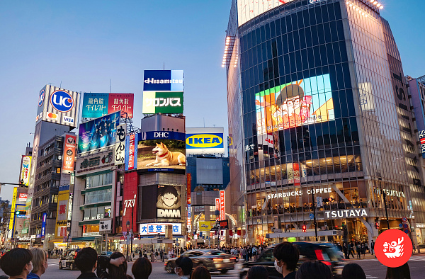 Обзорная экскурсия по Токио