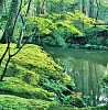 >Очаровательный мир древнего Киото